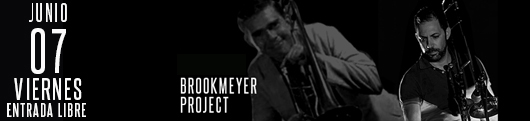 7-junio-brookmeyer project